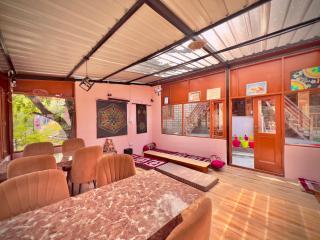 Royal Star Kasol - 4