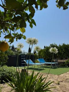 Villa Ammaliante - 6