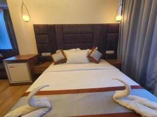 HOTEL DEO VOLENTE - Sivasagar - 8