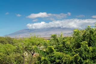 PINEAPPLE HALE Lovely 4BR KaMilo Home with Private Beach Access - Waikoloa - 2