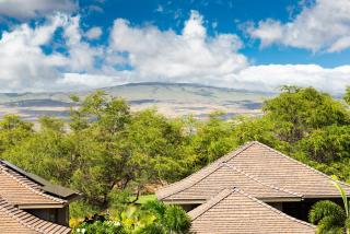 PINEAPPLE HALE Lovely 4BR KaMilo Home with Private Beach Access - Waikoloa - 1