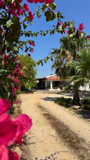 Villa Ammaliante - Menfi - 8