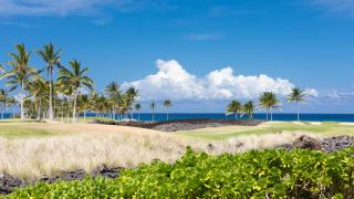 BY THE SEA VILLA Cheerful 3BR Halii Kai Home with Golf and Ocean Views - Waikoloa - 4