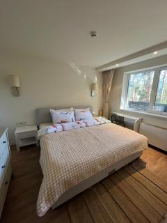 Forest Chamkoria Apartment with Terrace, Borovets - Borovets - 4