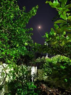 Golpo Bari - Kushtia - 8