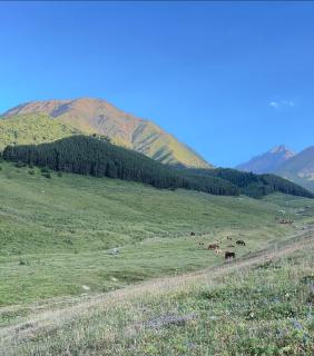 Горные Юрты Чункурчак Yurt Camp in the Mountains - Alamedin - 6