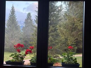 Durmitor Peaks and Pines - Žabljak - 0