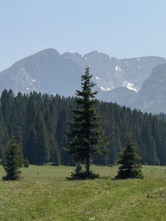 Durmitor Peaks and Pines - Žabljak - 3
