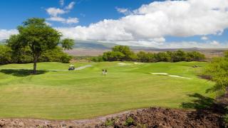 ENDLESS SUMMER Elegant KaMilo Home with Heated Pool and Guest Cottage - Waikoloa - 5