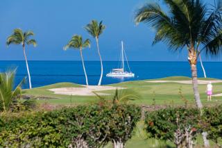 ENDLESS SUMMER Elegant KaMilo Home with Heated Pool and Guest Cottage - Waikoloa - 9
