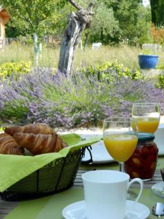 Appartement charmant à Seillans avec piscine - Seillans - 1