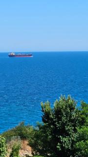 Апартаменты за гости Гаван - 1