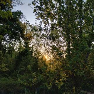 Rossclare Lodge - Enniskillen - 8