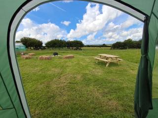 Maisie's Campsite - Bideford - 9