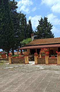 Villa Blick - Guardistallo - 9