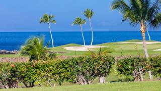 OCEAN DREAM Panoramic Oceanfront Walk to Private Beach Club Bikes - Waikoloa - 7