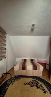 Ranc Cika Zlaje - Vitez - 2