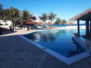 Brisas del mar - Cedro - 8
