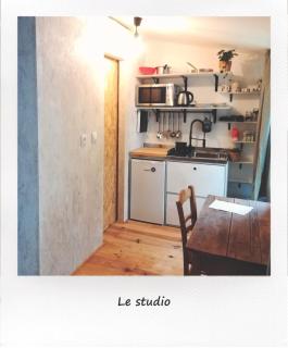 Petit studio avec jardin à 10 mn d'Avignon - Entraigues-sur-la-Sorgue - 4