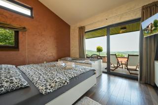 DIVINUS HOLIDAY HOUSE - Marija Bistrica - 1
