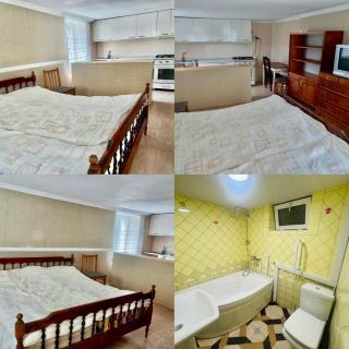 Family House Shorety - Surami - 7