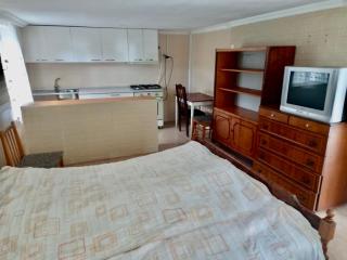 Family House Shorety - Surami - 8