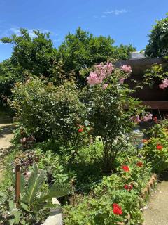 Green house Cottage - 9
