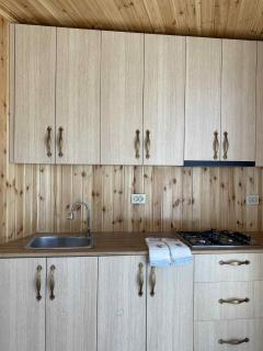 Green house Cottage - 5