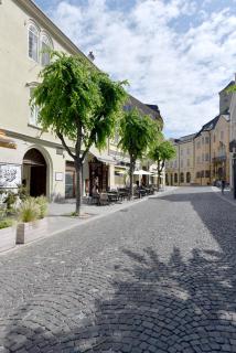 Apartmán Palackého Free Parking - Trenčín - 0
