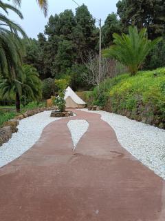 Monte frio de Tenerife - La Guancha - 3