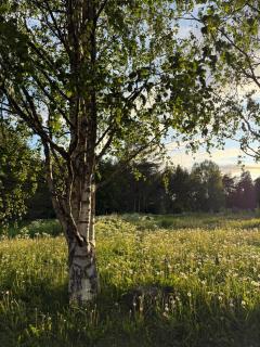 Henniina V Kotoisa - Free parking & Easy Check-in - Oulu - 6