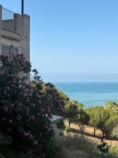 villa ibisco - Torre di Gaffe - 1