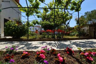 Four-Bedroom Apartment in Stinjan I - Štinjan - 6