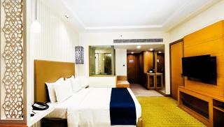 Holiday Inn Amritsar Ranjit Avenue by IHG - Amritsar - 2