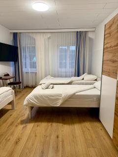Hotel La Veneziana - Aschach an der Donau - 7