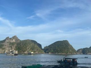 Tsunami bungalow - Cat Ba - 4