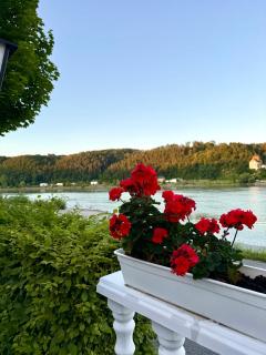 Hotel La Veneziana - Aschach an der Donau - 5