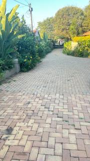 Artzy's Garden View 1km to Olivedale Clinic - 7