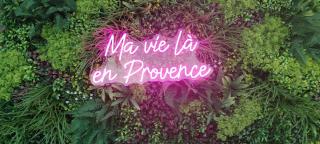 Ma Vie Là en Provence - Jonquières - 9