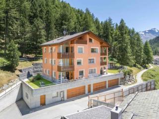 Magnificent Stay near Sankt Moritz - Pontresina - 9