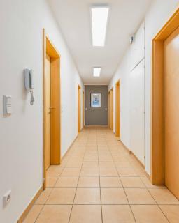 Ferienwohnung Dominique - Nieder-Saulheim - 3