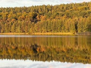 Warmińskie Lokum - Woryty - 6