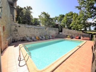 Castle 12th century with private pool close to Agen - Saint-Caprais-de-Lerm - 8