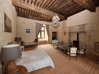 Castle 12th century with private pool close to Agen - Saint-Caprais-de-Lerm - 9