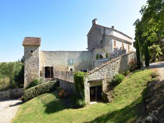 Castle 12th century with private pool close to Agen - Saint-Caprais-de-Lerm - 3