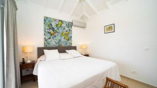 Charming St-Barts Villa with Ocean Views - Gustavia - 7