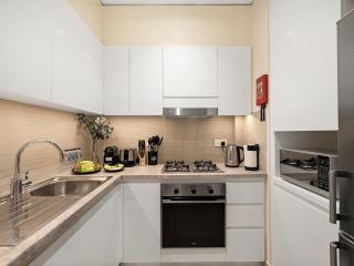 Chic 1BR in Downtown Dubai-Direct access to Dubai Mall - 4