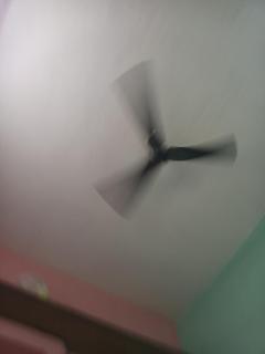 Sangeetha homestay - 4