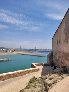 Oceon view - 8