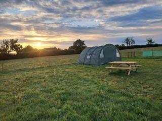 Maisie's Campsite - Bideford - 8